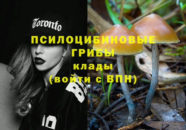 молекула духа Киреевск