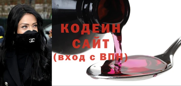 молекула духа Киреевск
