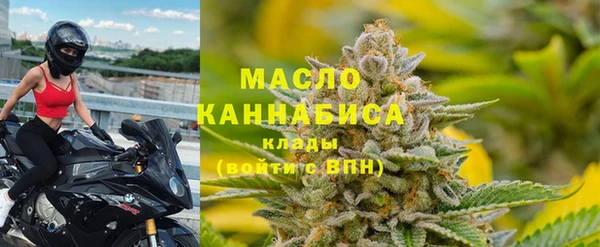 молекула духа Киреевск