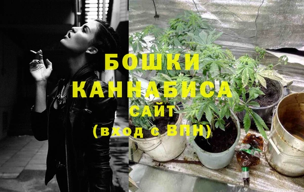 молекула духа Киреевск