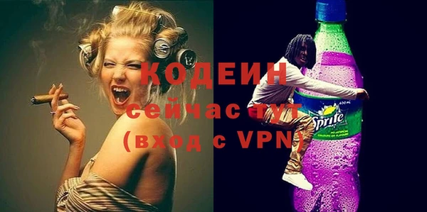 молекула духа Киреевск