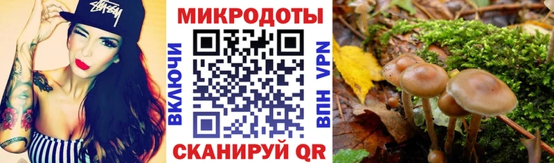 Псилоцибиновые грибы прущие грибы  Купить где  Гурьевск 