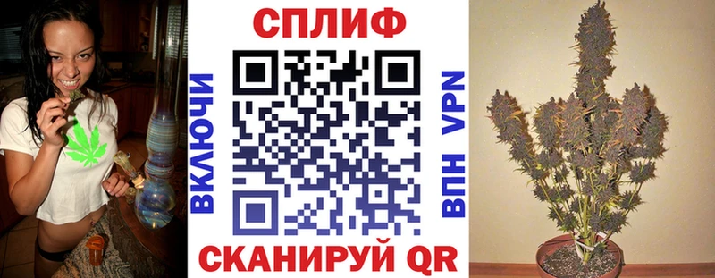 Купить  Гурьевск  Канабис VHQ 